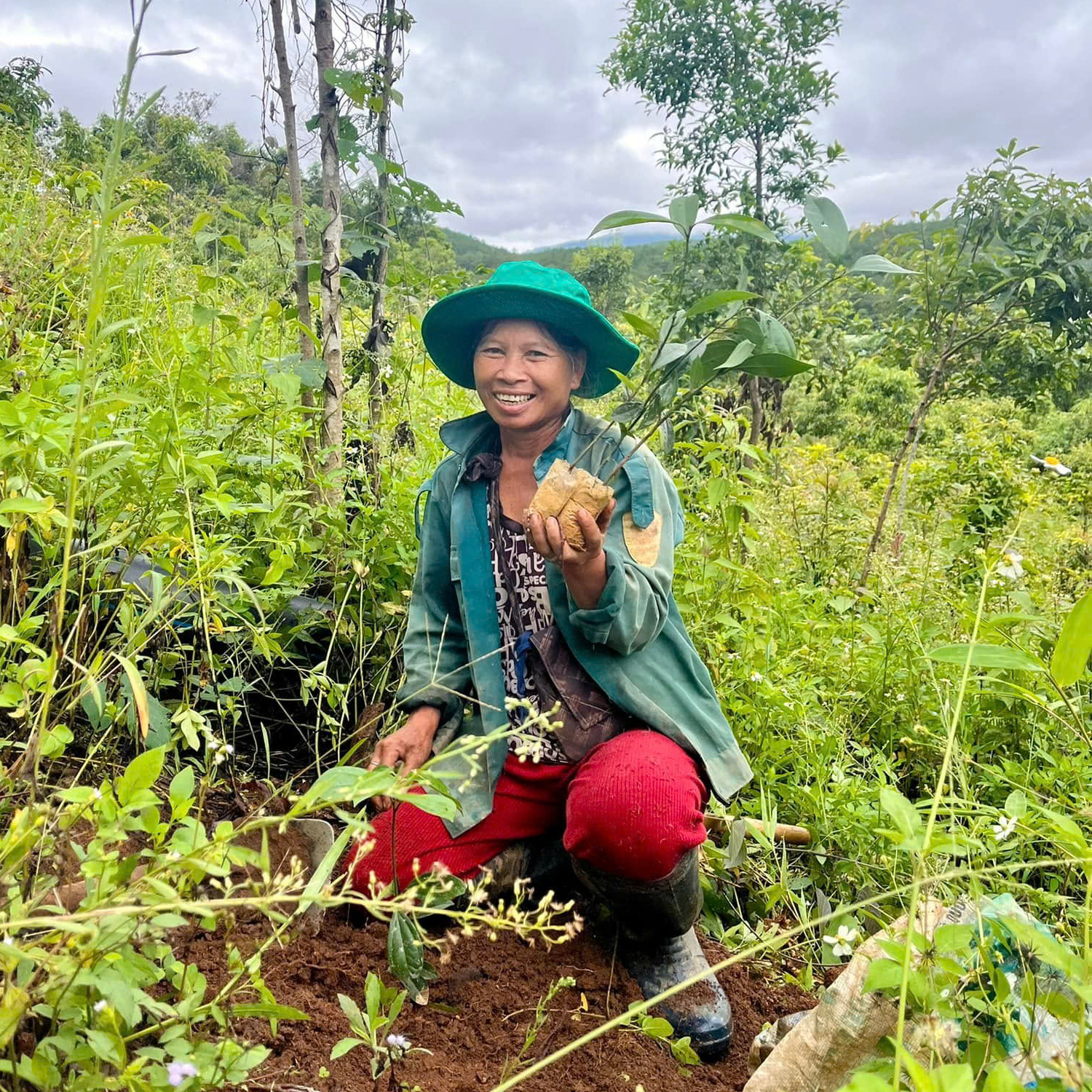 Adopt-a-Tree Program